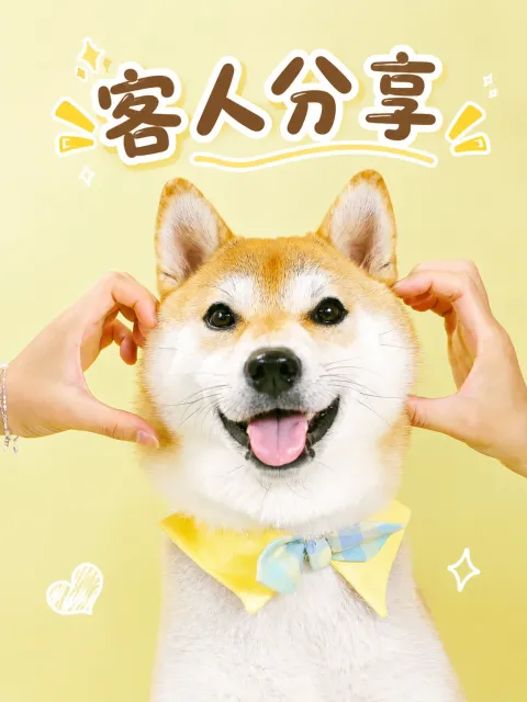 客人分享